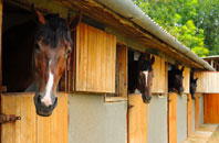 free Hadlow Down stable construction quotes